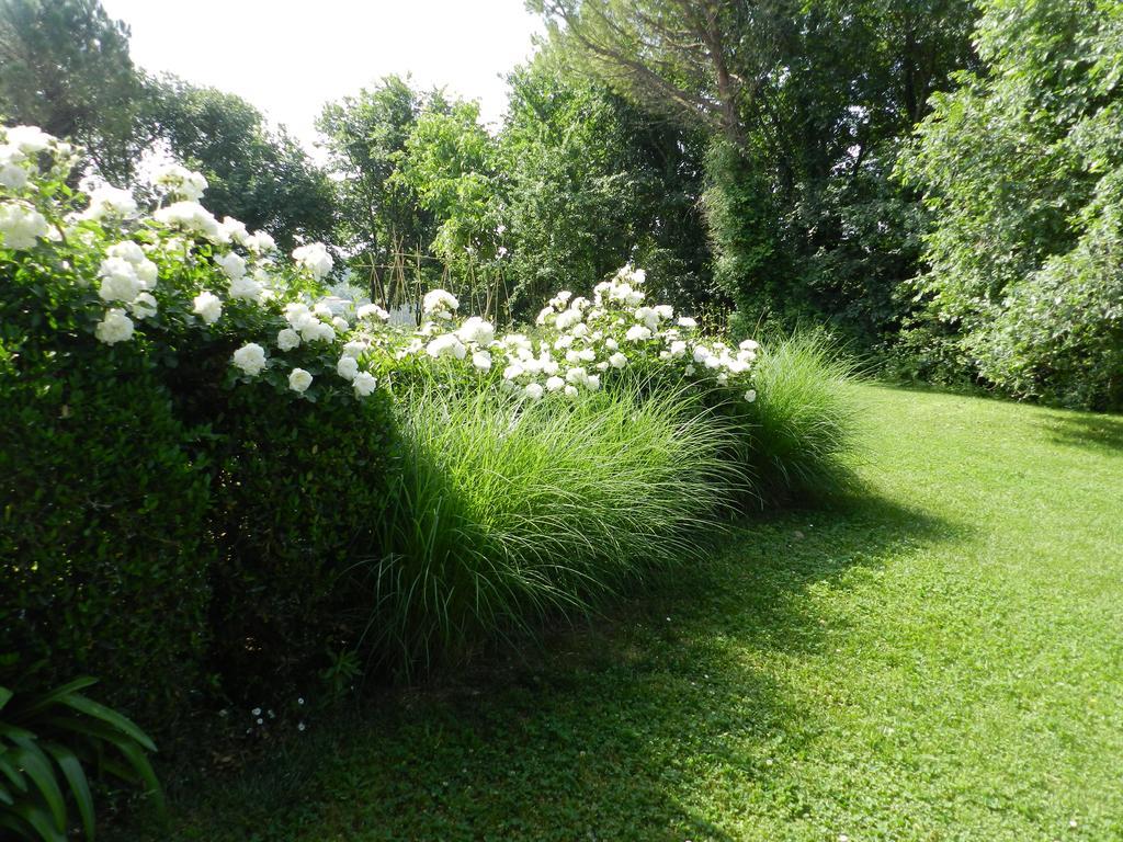 B&B I Fiori Della Cava Pesaro Zewnętrze zdjęcie